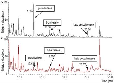 Pre-symbiotic response of the compatible host spruce and low-compatibility host pine to the ectomycorrhizal fungus Tricholoma vaccinum